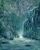 Garden Waterfall