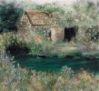 Wild Garden